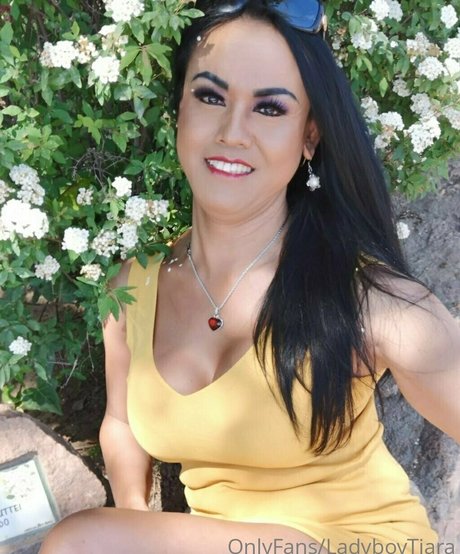 ladyboytiara pornstar sexy img