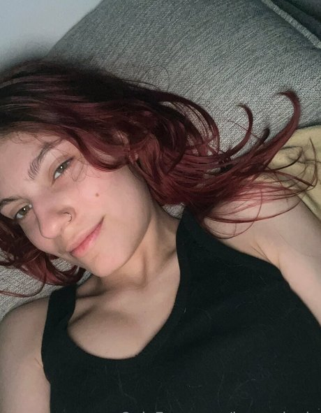 imgardenia star perfect photos