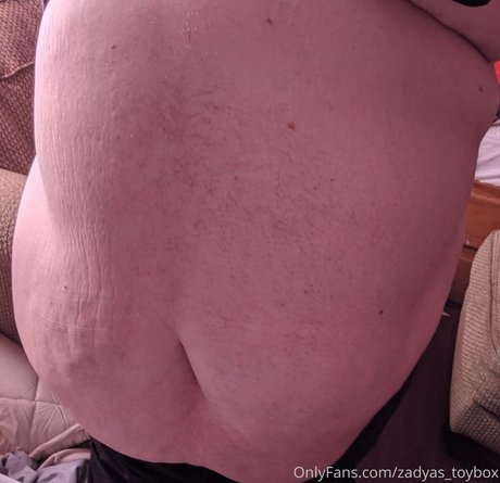 zadyas toybox pretty model image