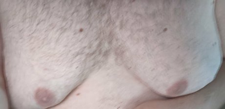 zadyas toybox model gallery