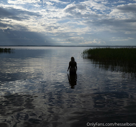 hesselbom model top pic