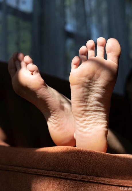 tastytaurustoes hot pornstar gallery