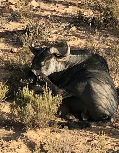 jimnewmannyc pretty actress pic