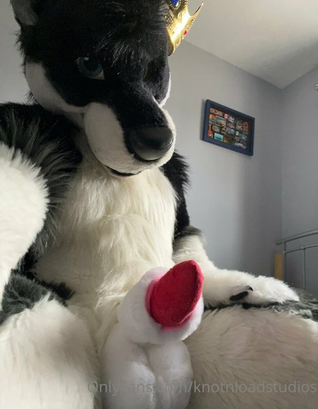 knotnloadstudios adult actress images