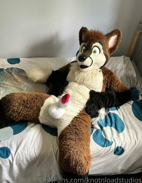 knotnloadstudios star erotic img