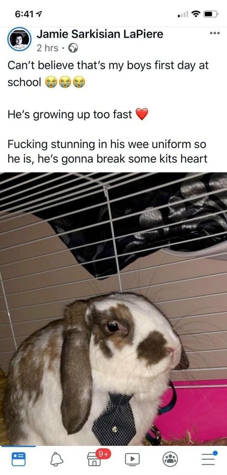 lothianjamie pornstar adult picture