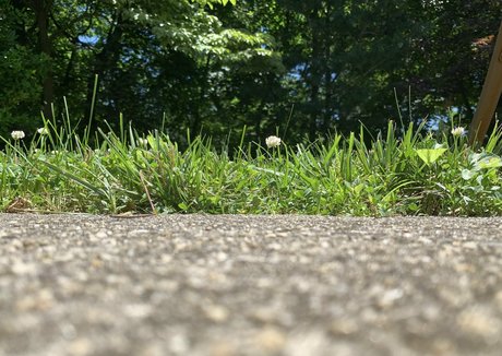 sizeplayproduct pornstar perfect photo