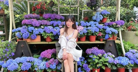 roselle888 star nude img