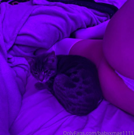 creampie onlyfans xxx images