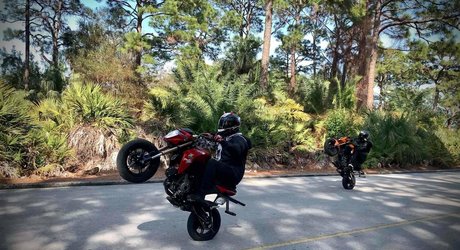 asherridesfree top actress images