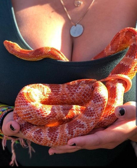 Isabellaell pretty model photo