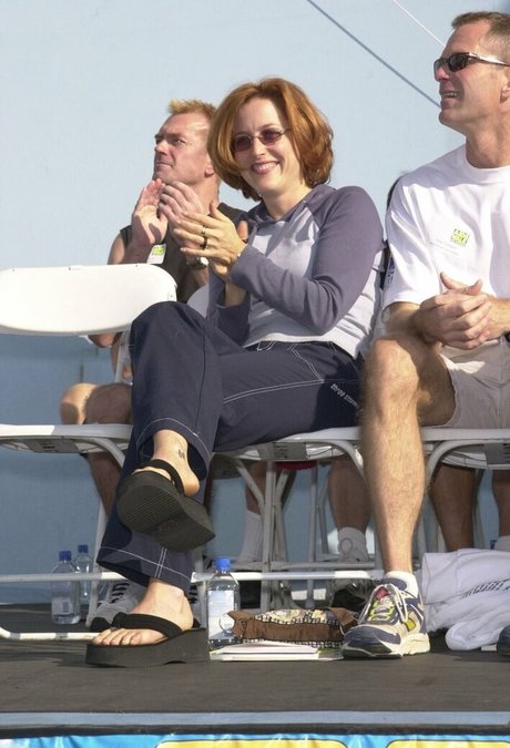 Gillian Anderson star hot img