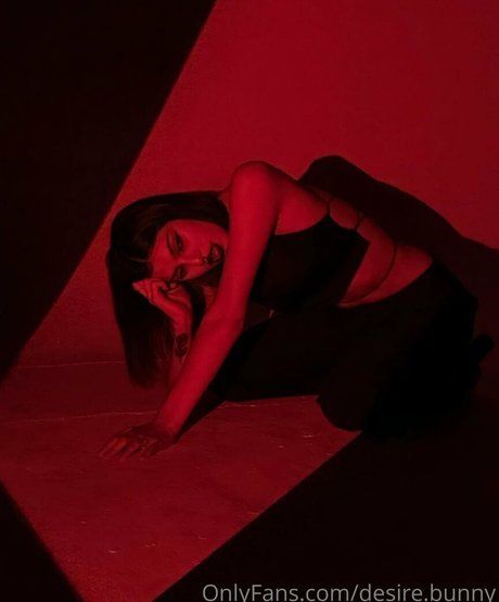 desire bunny profile pic