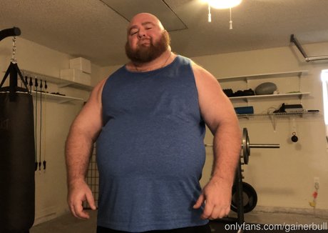 gainerbull star perfect pic