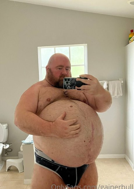 gainerbull profile pic