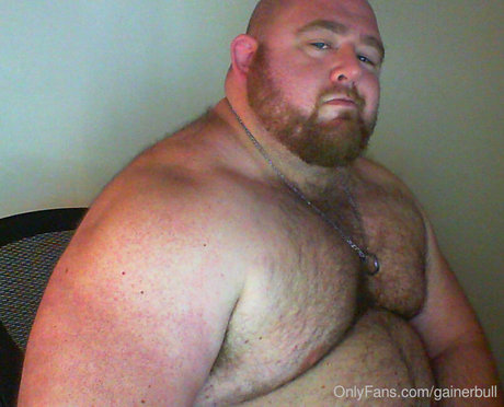 gainerbull star porn photo