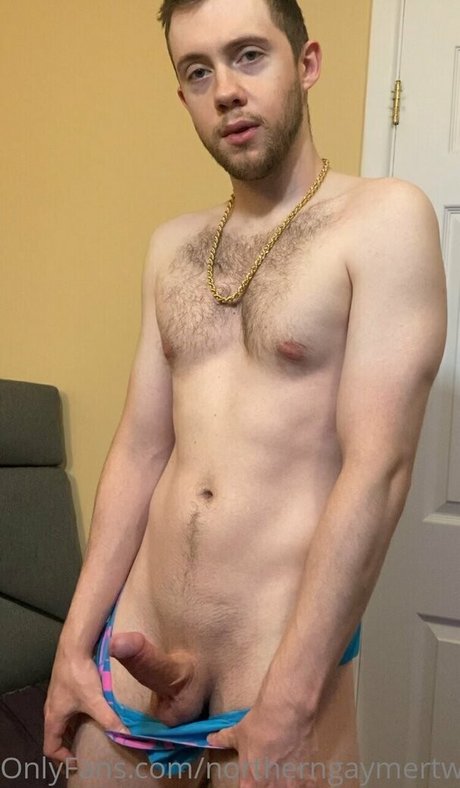 northerngaymertwinks star high quality galleries