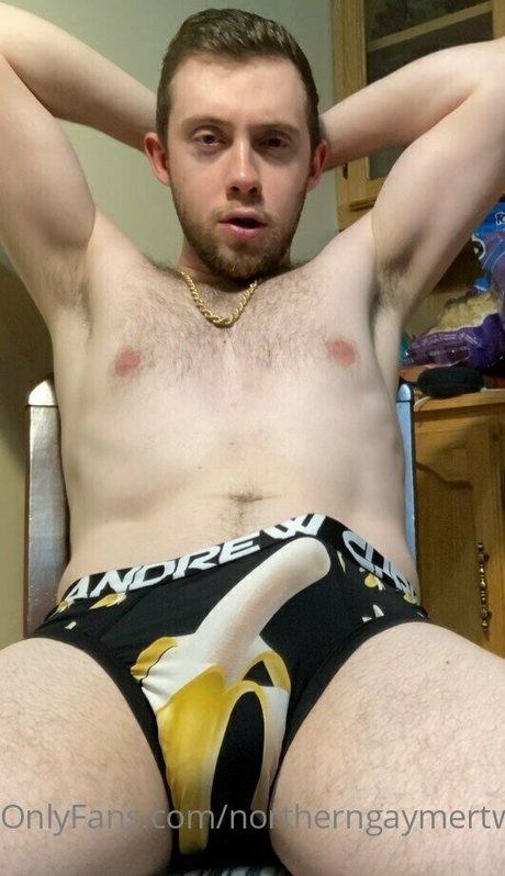 northerngaymertwinks art pornstar picture