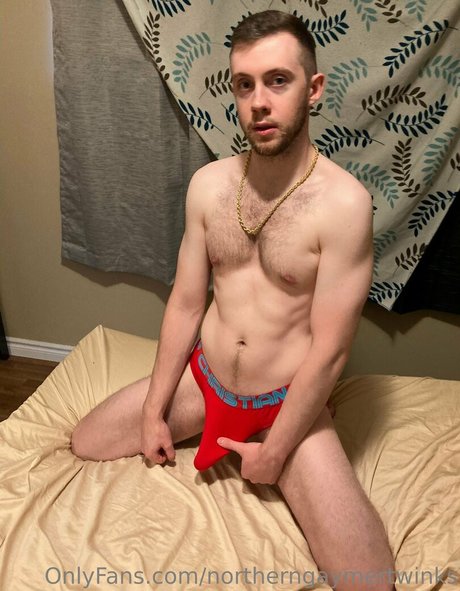 northerngaymertwinks hot actress pic