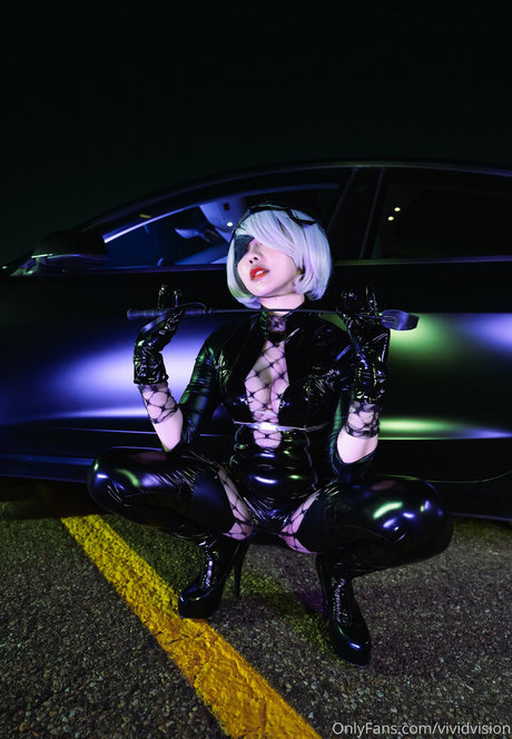 vividvision model pornographic images