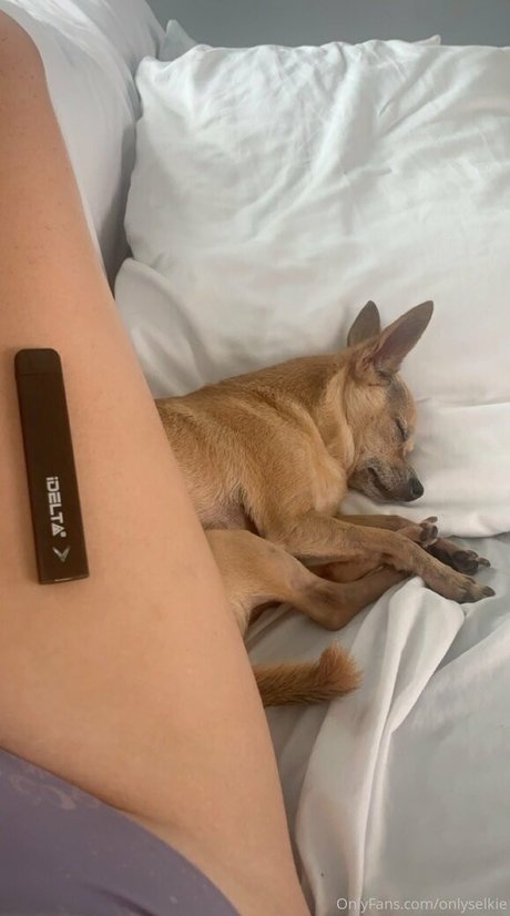 onlyselkie hd actress img