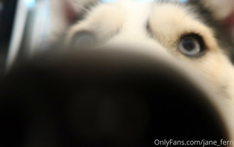 jane fern star sex pictures