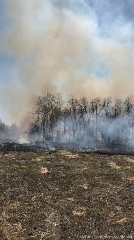 nicebassblondie model nude pic