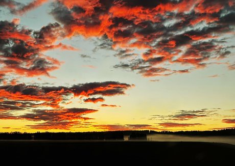 nicebassblondie nudes model photos