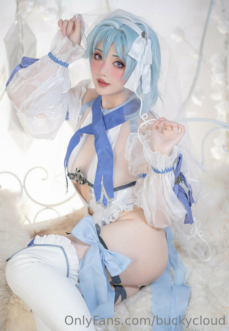 buckycloud art model img