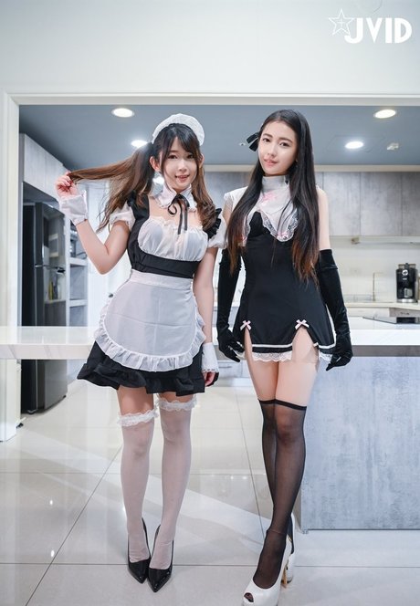 mini 0223 nice star galleries