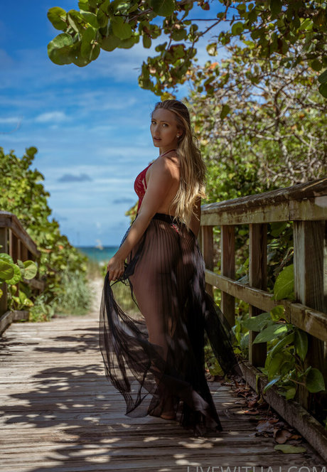 ajapplegatevip erotic star picture