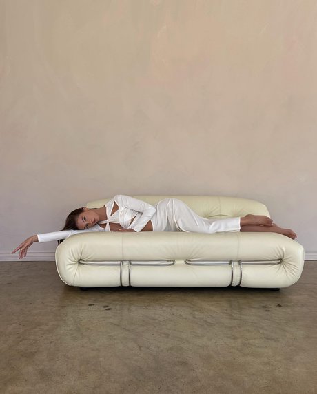 ebenholz-amateure nur fans kunst nette galerien