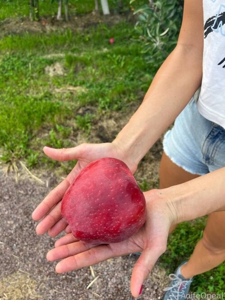 strandblondine onlyfans hd sexy fotos