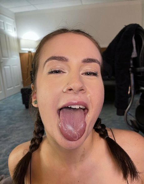 kitten kyra hübsche exklusive bilder