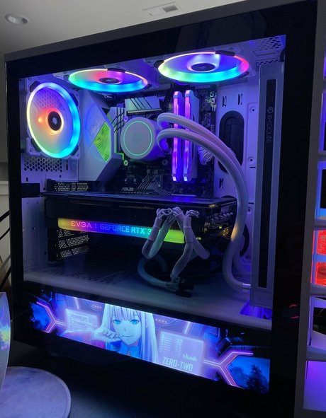 kitten kyra kostenlose heiße bilder