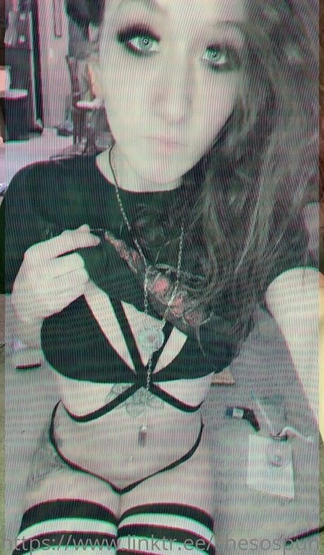 spunbunny xxx heiße galerie