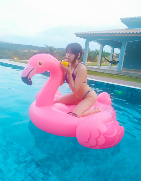 analfüße nur fans kunst freie bild