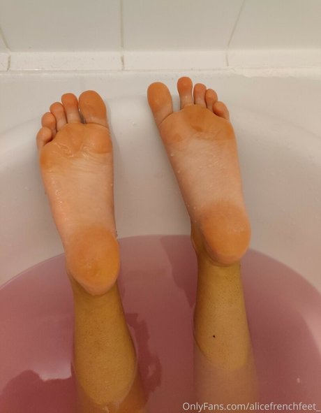 riesenschwanz shemale onlyfans kostenlose xxx galerien