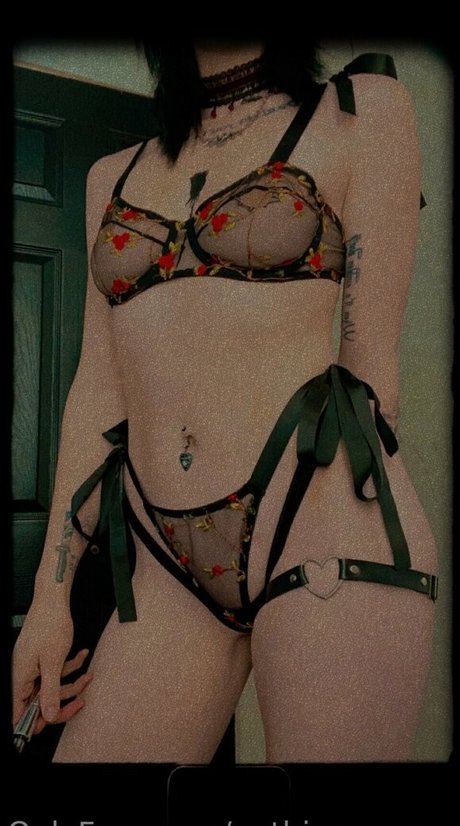 heißeste onlyfans exklusive hd bilder