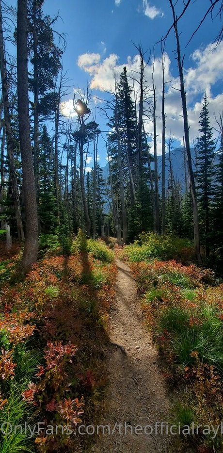 ebenholz-muschi nur fans kunst erotische bilder