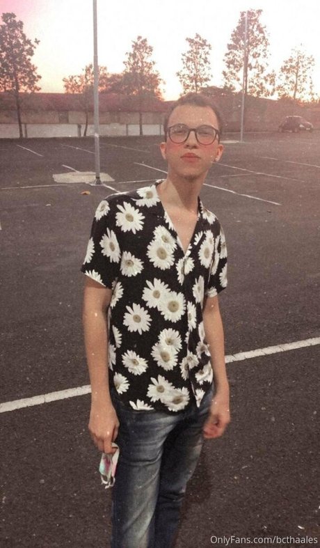 bcthaales beste galerien