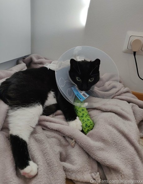 angielynxxx freie perfekte galerien