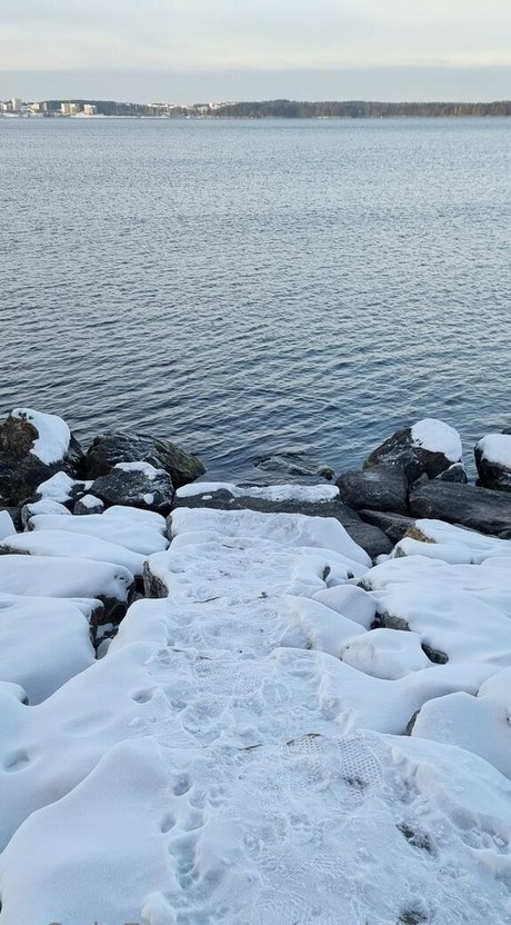 anal creampie onlyfans xxx fotos