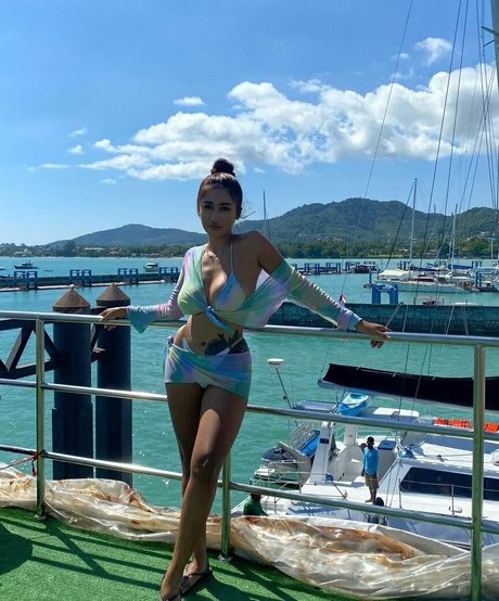 cheetah babe69 freie kunst archiv