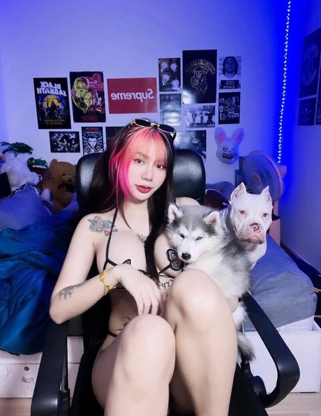 nacktstrip onlyfans heiße hübsche bilder