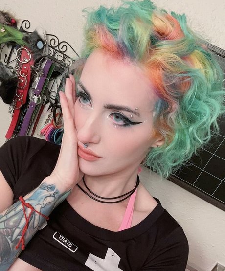 pokket official beste bilder