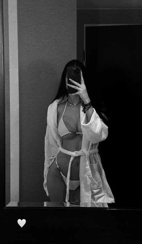 Haniasipa freie exklusive bild