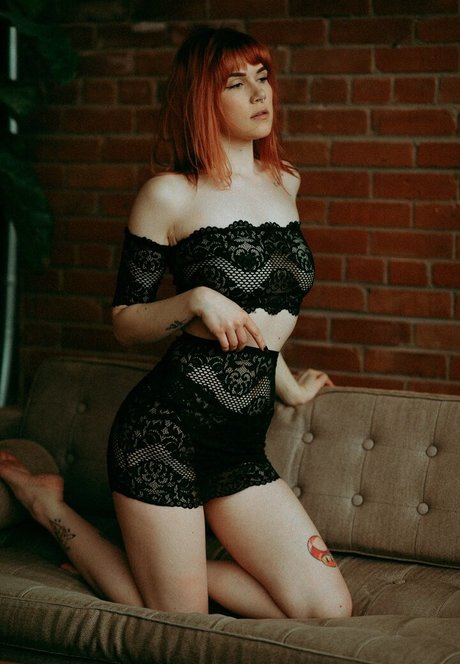 schwuler zwerg nur fans freie kunst galerie