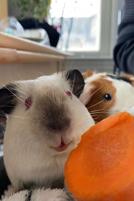 dünne blonde onlyfans schöne schöne bilder