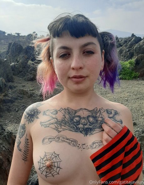 gatitajavilun hd schöne bild